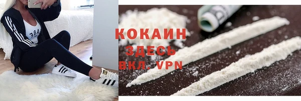 PSILOCYBIN Краснотурьинск