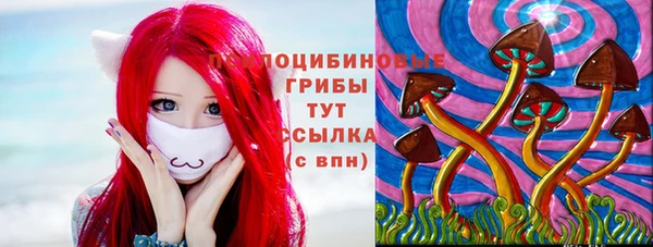PSILOCYBIN Краснотурьинск