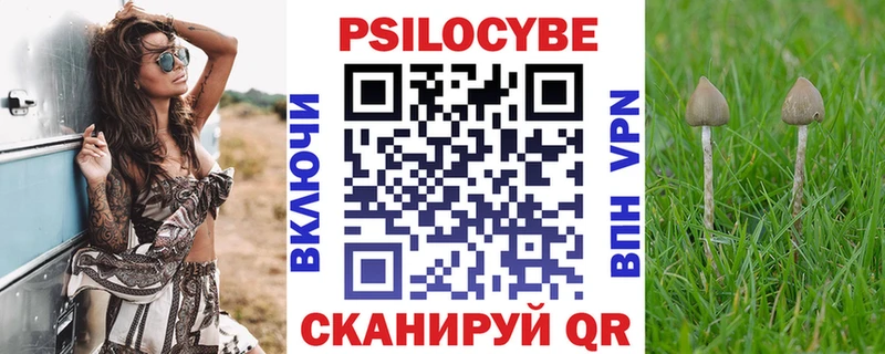 Купить закладки  Ермолино  Псилоцибиновые грибы Psilocybe 